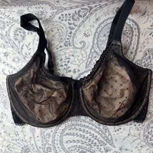Wacoal Elegant Black and Nude Lace Bra-34DDD